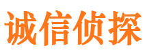 陆河找人公司